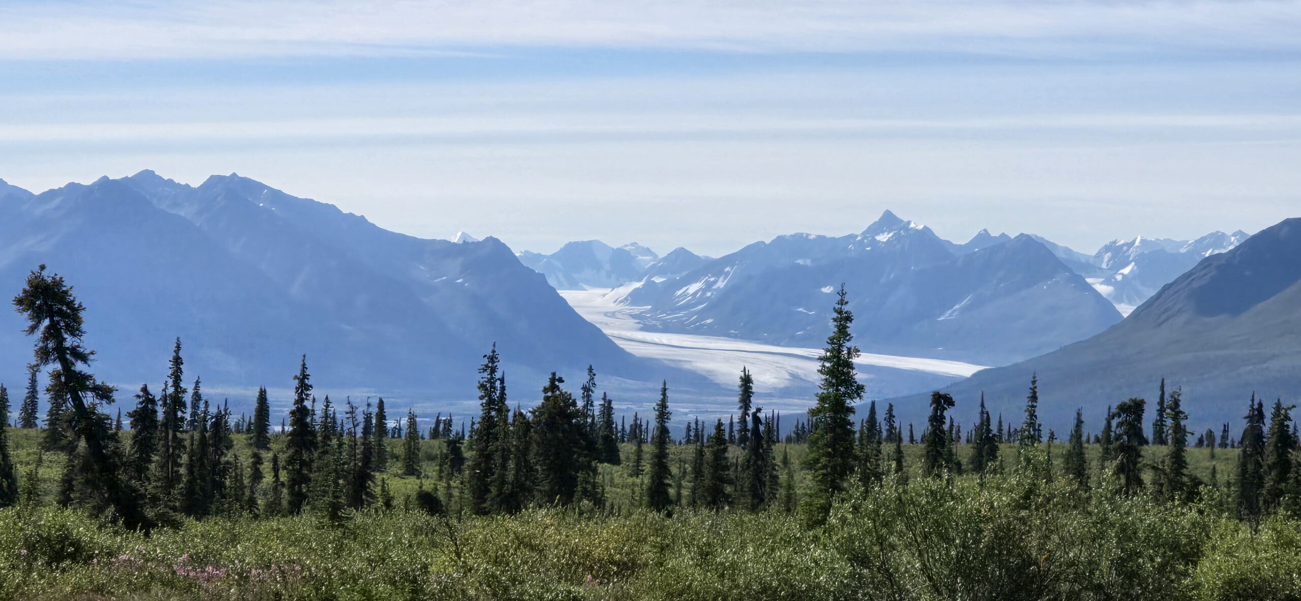 Our role in the world is to provide gold, platinum and rare Earth elements mining industry a safer, healthier and faster way of mining that is both efficient, profitable and most importantly environmentally acceptable to all communities, where all parties win.